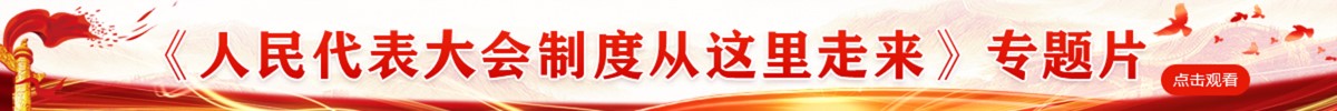 人民代表大会制度从这里走来